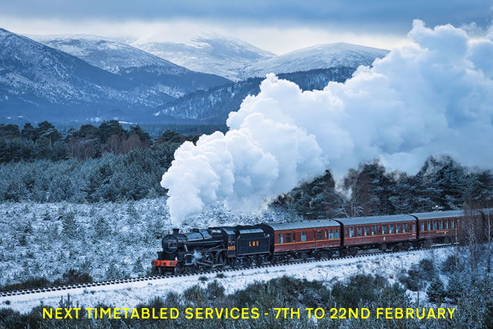 Photograph of mince pies on a train